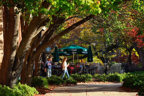 Fall tailgating in the Grove. Photo by UM Photographer Kevin Bain